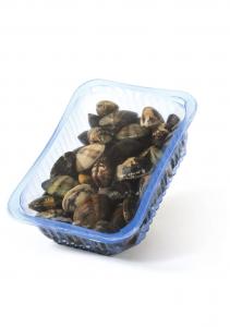 Palourdes - MAP / Retail